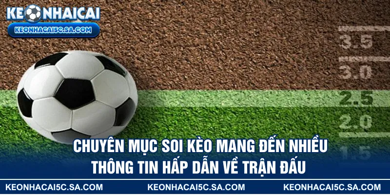 Chuyên mục soi kèo mang đến nhiều thông tin hấp dẫn về trận đấu 